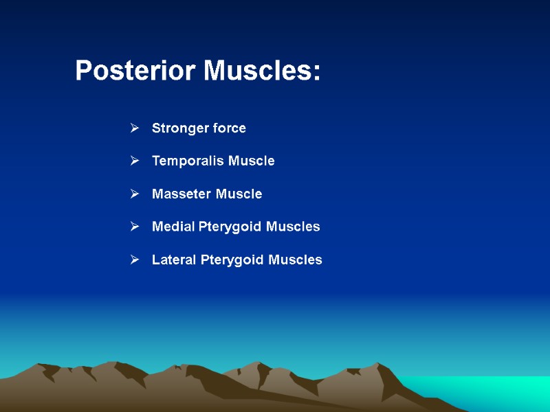 Posterior Muscles:     Stronger force     Temporalis Muscle